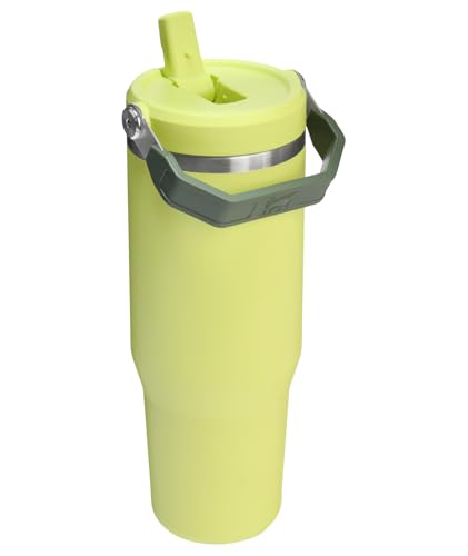 Stanley Insulated Straw Tumbler for All-Day Hydration