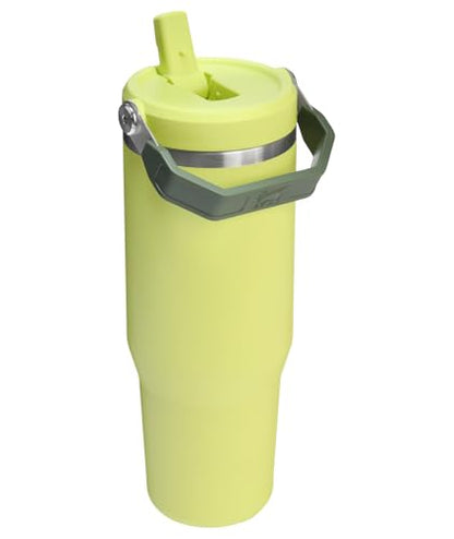 Stanley Insulated Straw Tumbler for All-Day Hydration