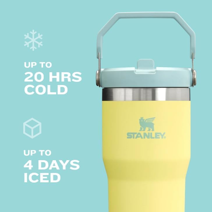 Stanley Insulated Straw Tumbler for All-Day Hydration