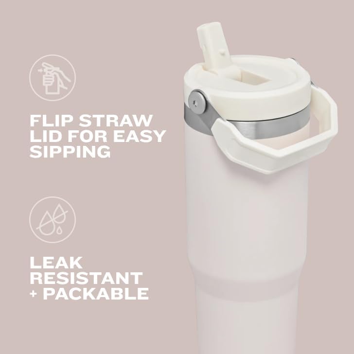 Stanley Insulated Straw Tumbler for All-Day Hydration