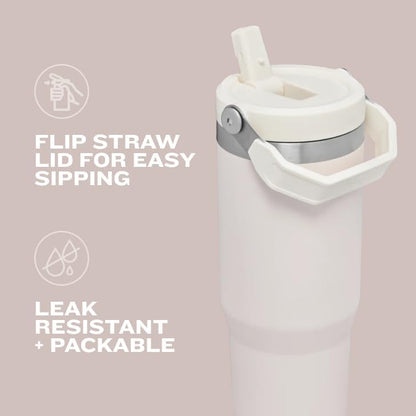Stanley Insulated Straw Tumbler for All-Day Hydration
